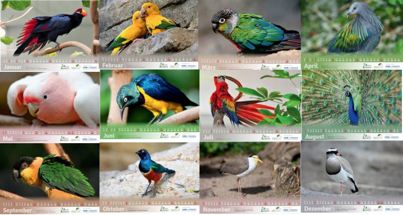 Kalender2021Bilder