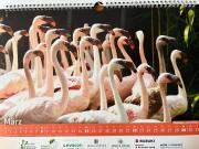 Kalender-2026-2