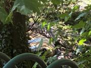 IMG7866