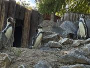 IMG7850
