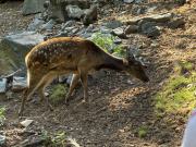 IMG7859